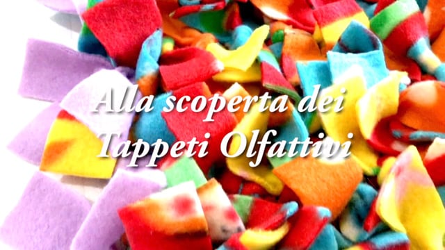 Alla Scoperta del Tappeto Olfattivo